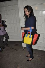 Anu Dewan snapped at Holiday screening in Sunny Super Sound on 3rd June 2014